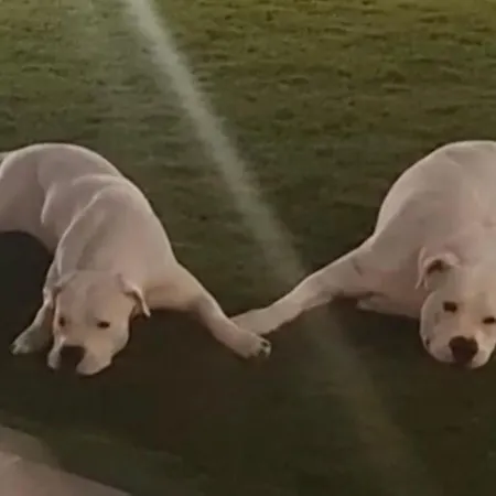 Cozy In Appartement *