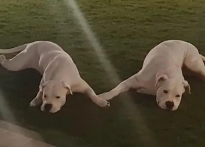 Cozy In Διαμέρισμα *